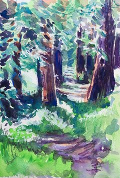 Golden Gate Redwoods