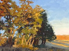 Sunlit Trees
