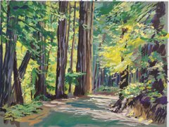 Redwood Grove