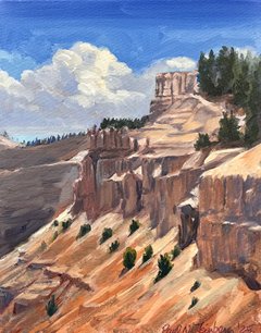 Upper Inspiration Point - 11" x 14" - Acrylic - available