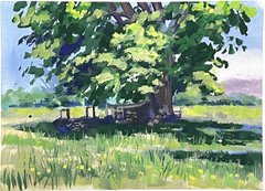 THE FARM OAK - 6" x 8" - Gouache on panel